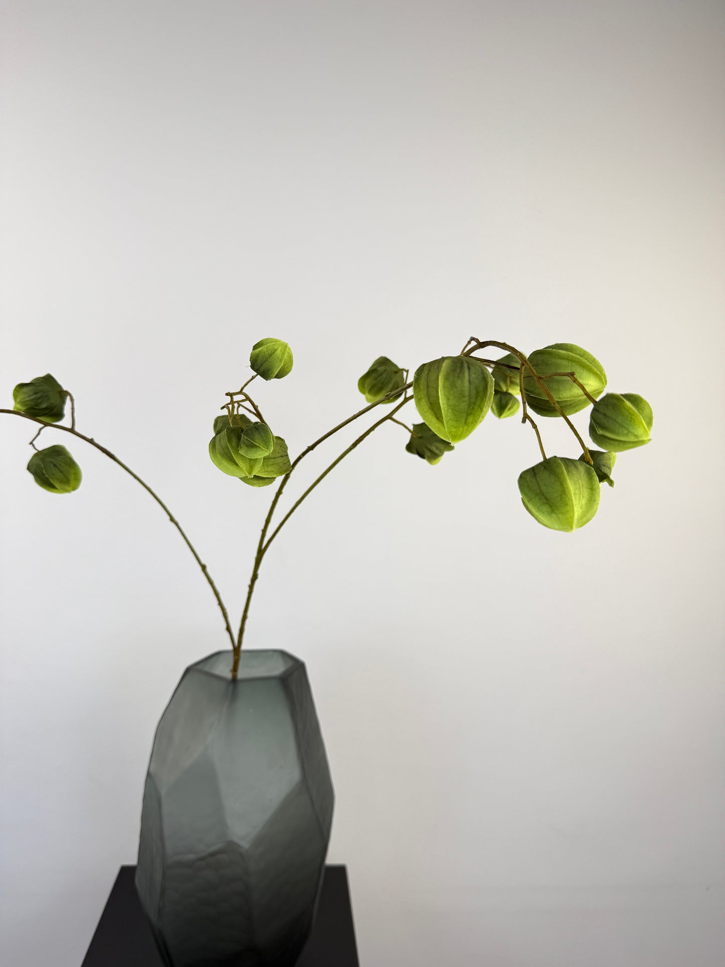 Künstlicher Physalis-Zweig wie echt, grün, 92cm
