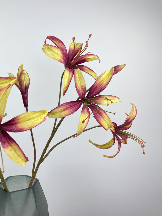 Künstliche Lilie, mauve-creme, 80cm