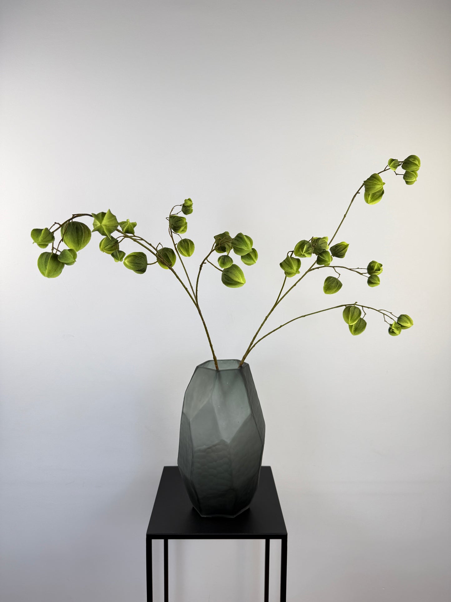 Künstlicher Physalis-Zweig wie echt, grün, 92cm