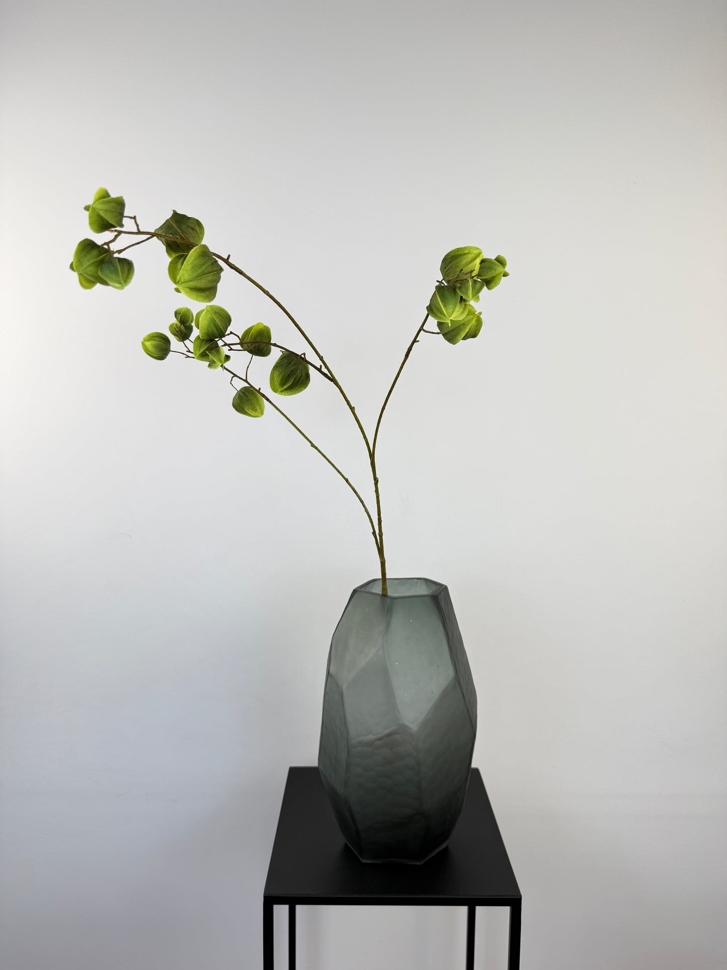 Künstlicher Physalis-Zweig wie echt, grün, 92cm