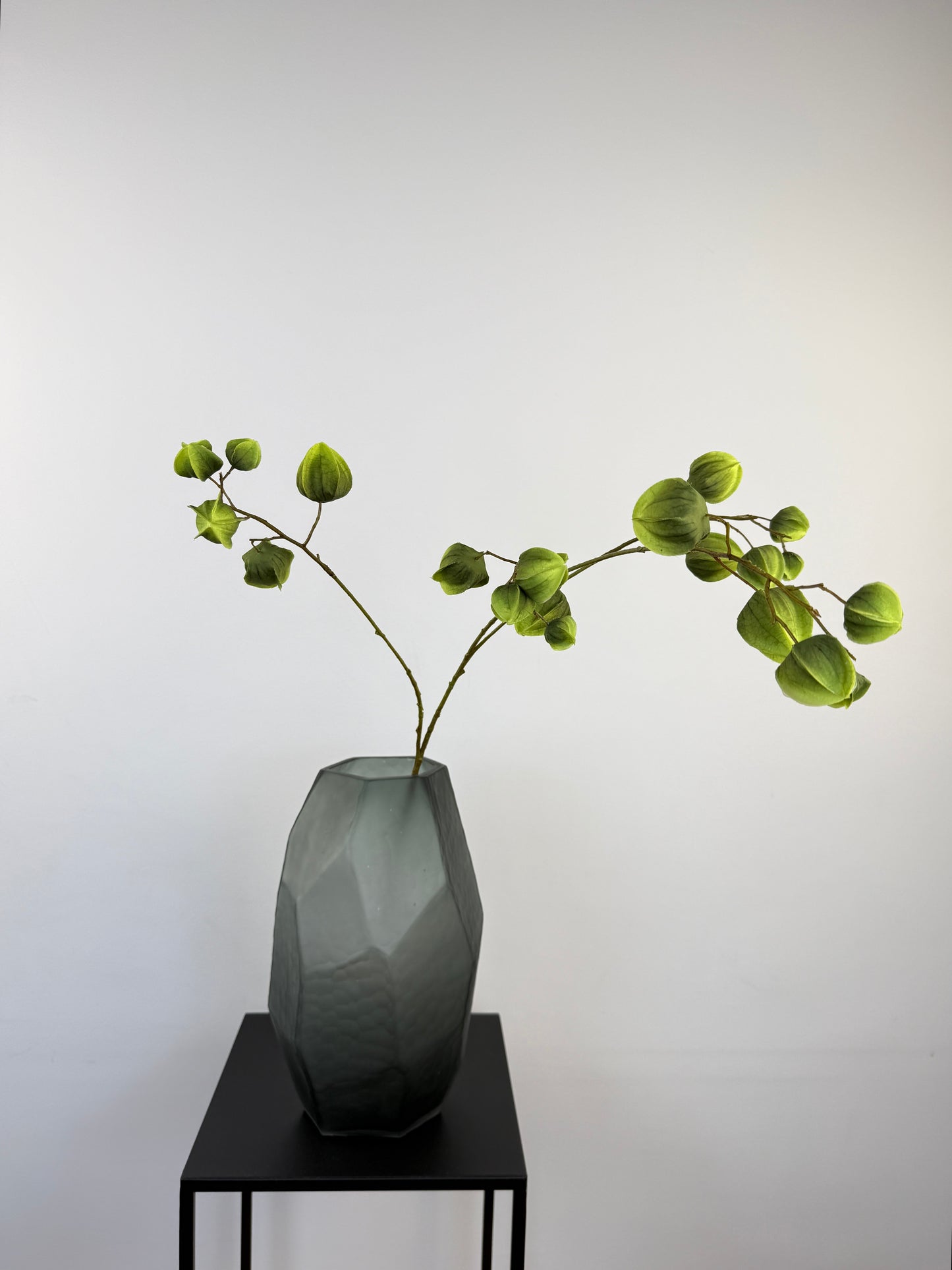 Künstlicher Physalis-Zweig wie echt, grün, 92cm