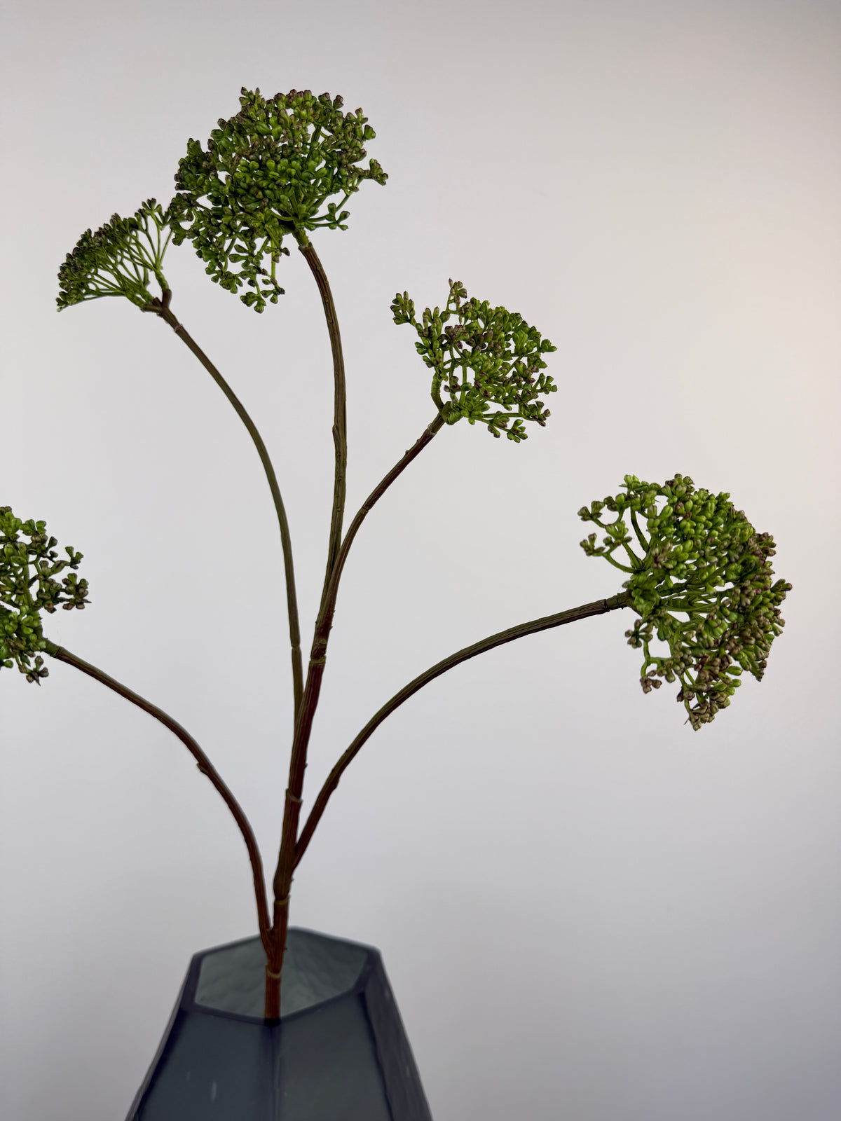 Künstliche Wilde Möhre / Queen Anne's Lace wie echt, grün, 78cm, Ansicht 5 – Silk-ka