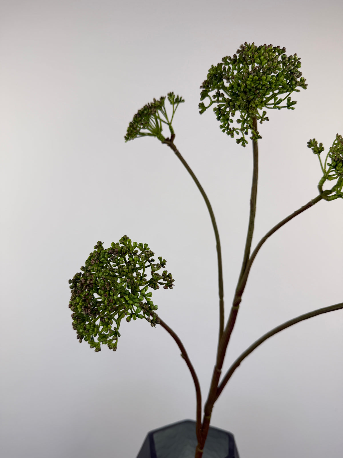 Künstliche Wilde Möhre / Queen Anne's Lace wie echt, grün, 78cm, Ansicht 6 – Silk-ka