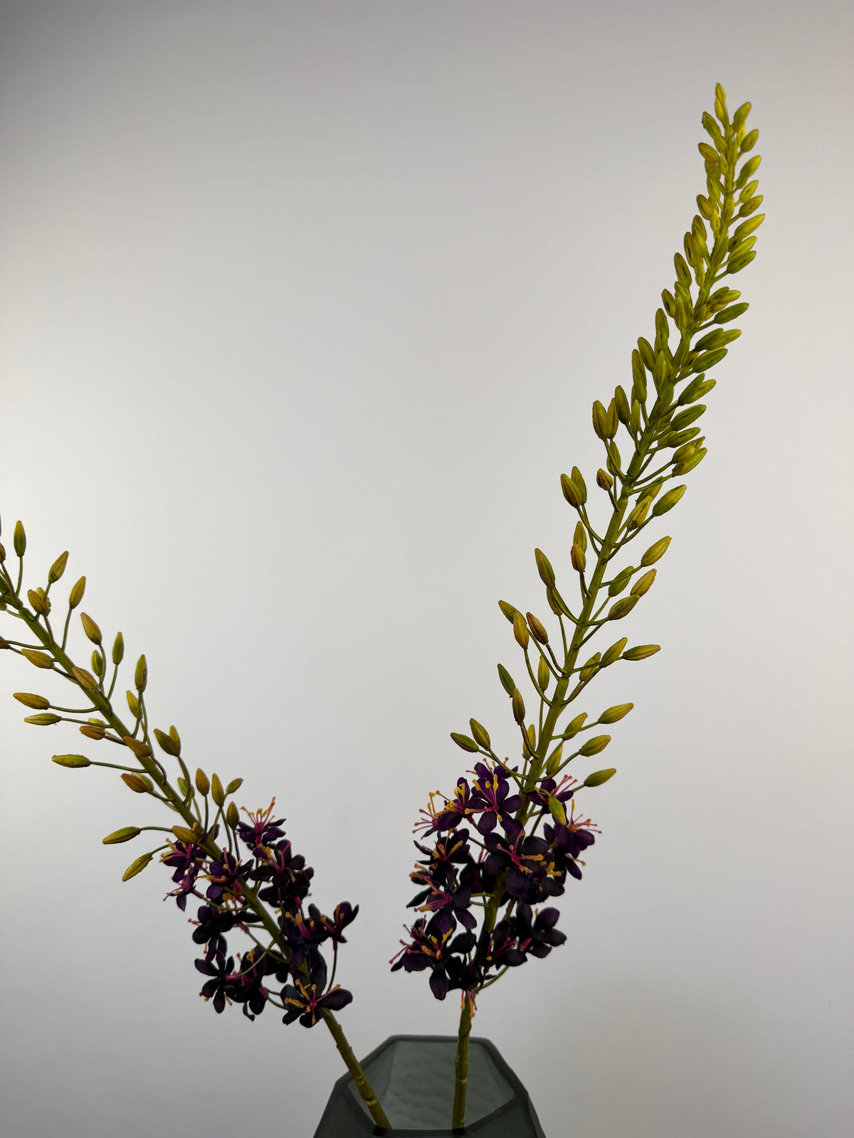 Künstliche Eremurus / Steppenkerze wie echt, lila, 107cm, Ansicht 3 – Silk-ka