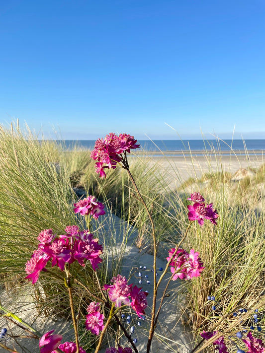Künstlicher Bärenklau, pink, 110cm