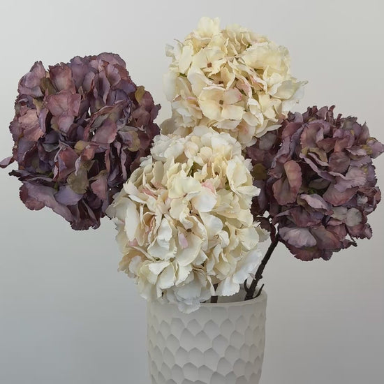 Künstliche Hortensie wie echt, lila und creme, 64cm – Video