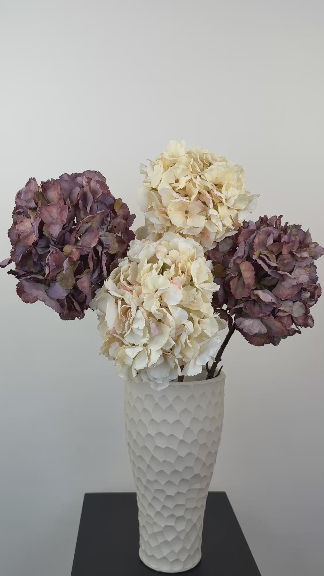 Künstliche Hortensie wie echt, lila und creme, 64cm – Video