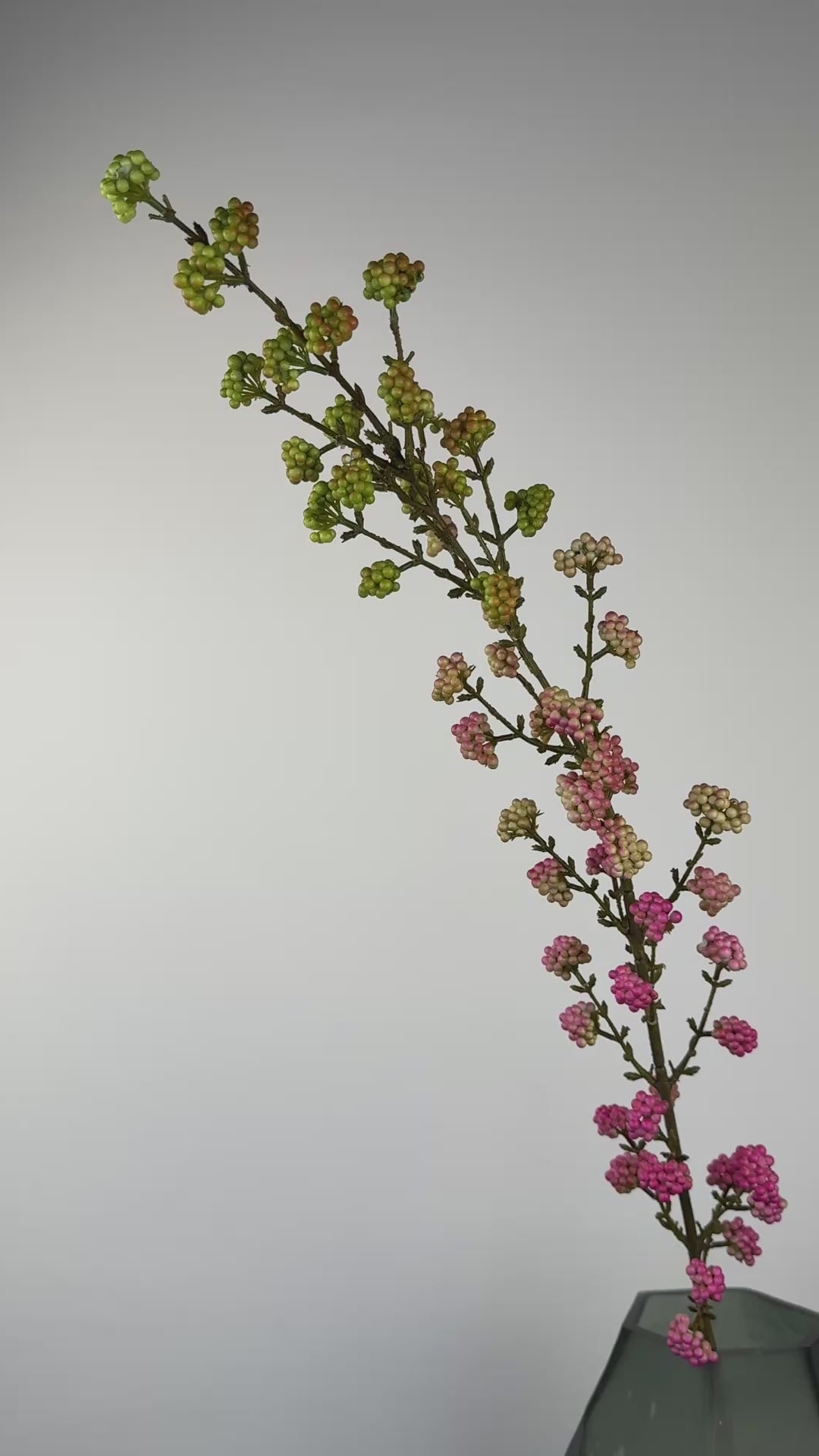 Künstlicher Liebesperlenstrauch wie echt, grün/rosa, 120cm – Video