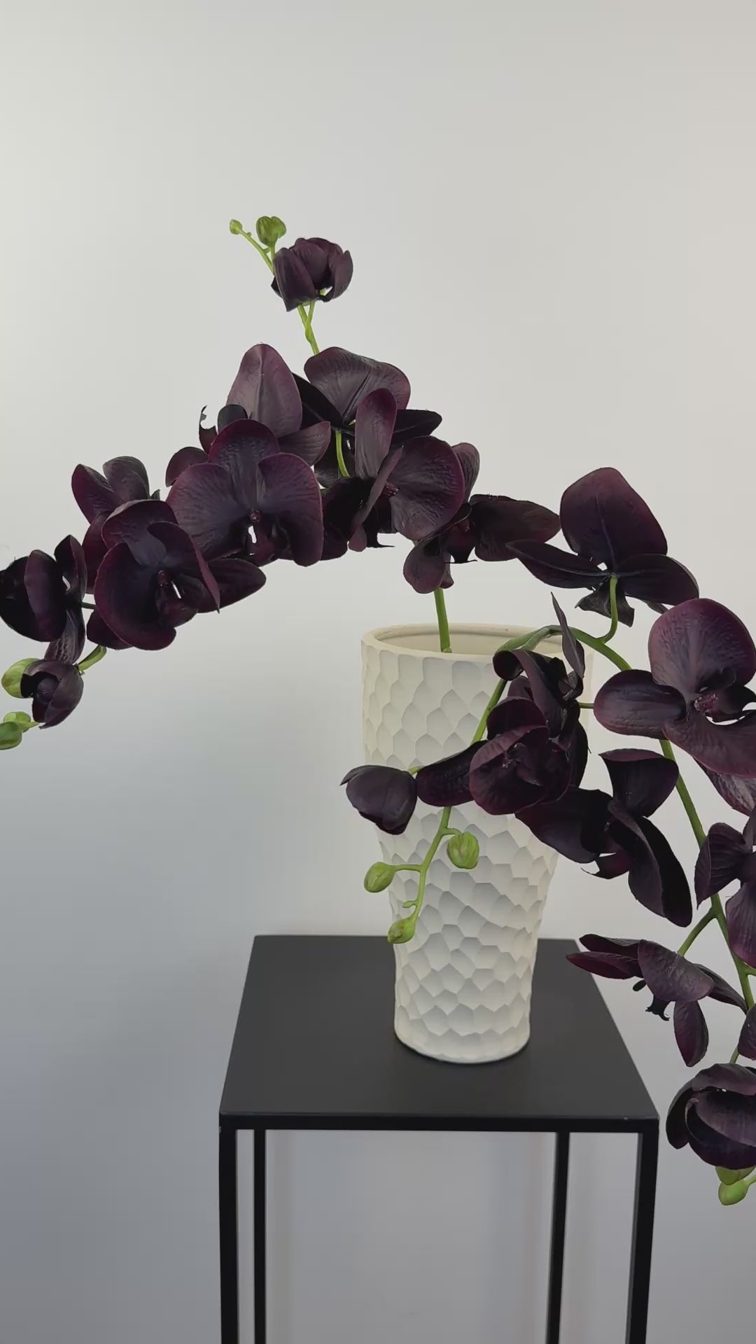 Künstliche Orchidee wie echt, lila, 105cm – Video