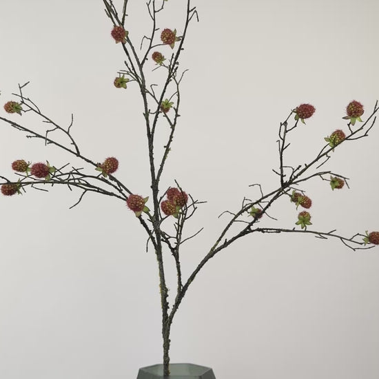Künstlicher Brombeerzweig wie echt, grün/rosa, 105cm – Video