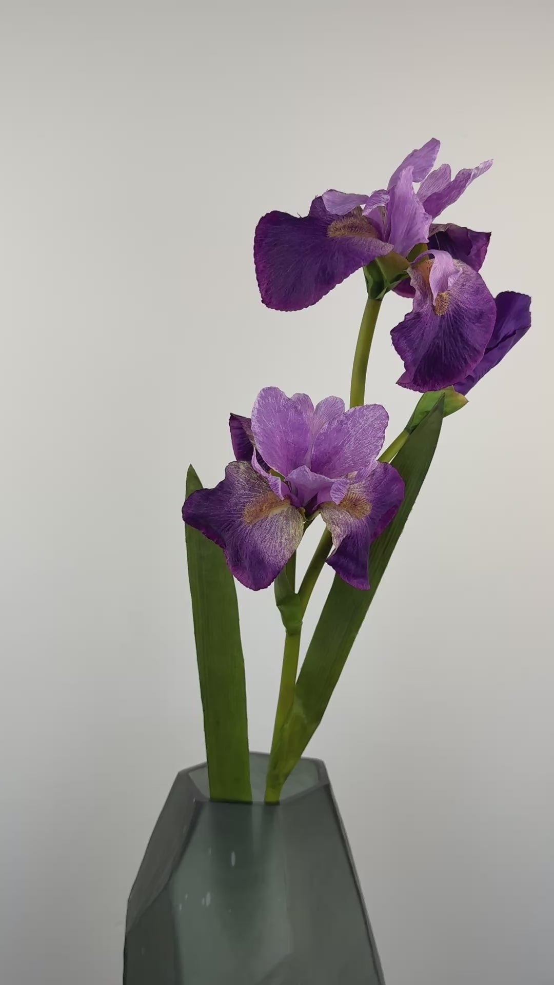 Künstliche Iris wie echt, lila, 77cm – Video