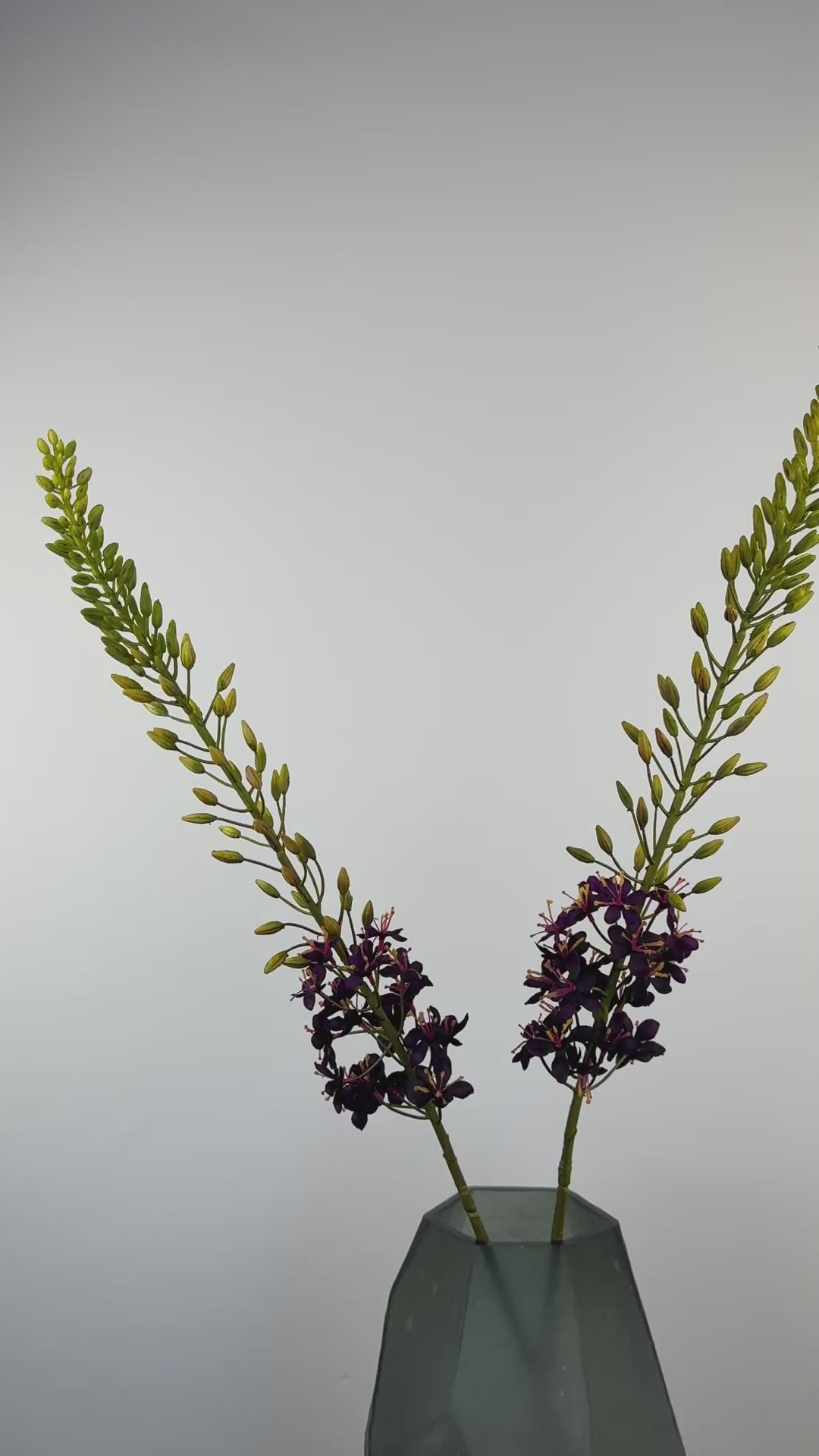 Künstliche Eremurus / Steppenkerze wie echt, lila, 107cm – Video