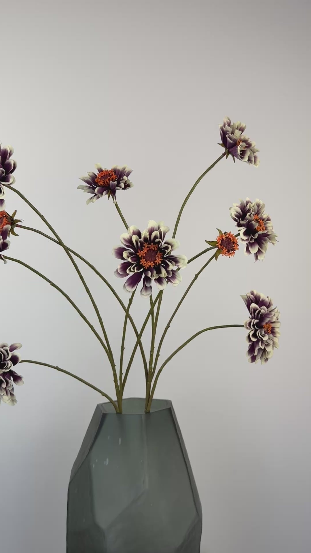 Künstlicher Zinnienzweig wie echt, creme/lila, 90cm – Video